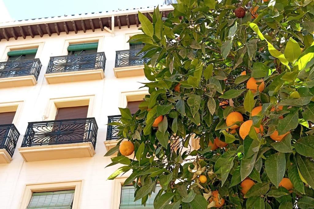 Large Family Home In Albaicin Center Granada Kültér fotó